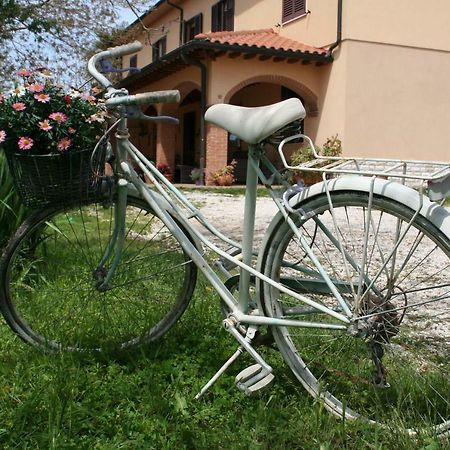 Agriturismo Diciocco Venturina Terme Exterior photo