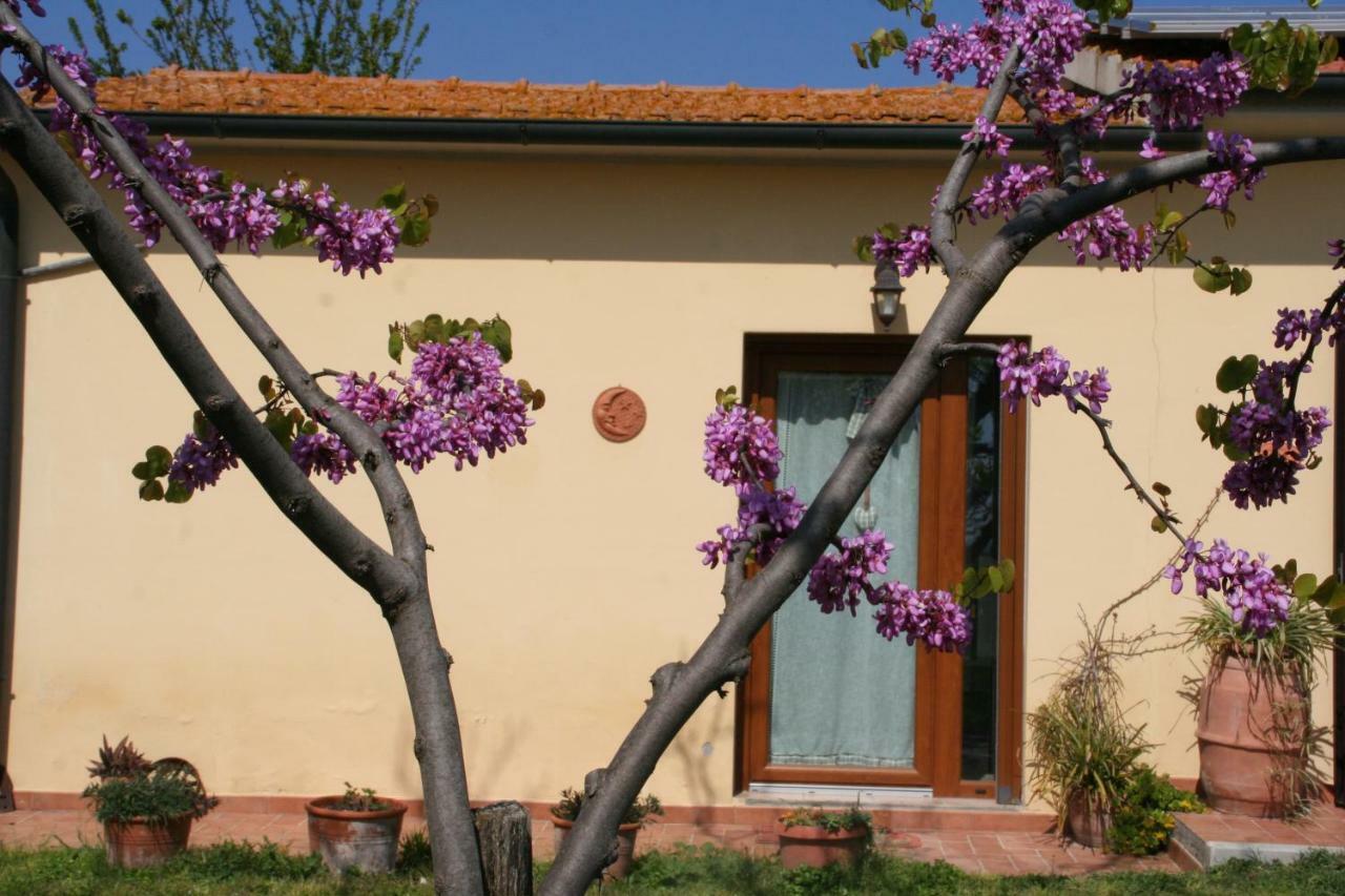 Agriturismo Diciocco Venturina Terme Exterior photo