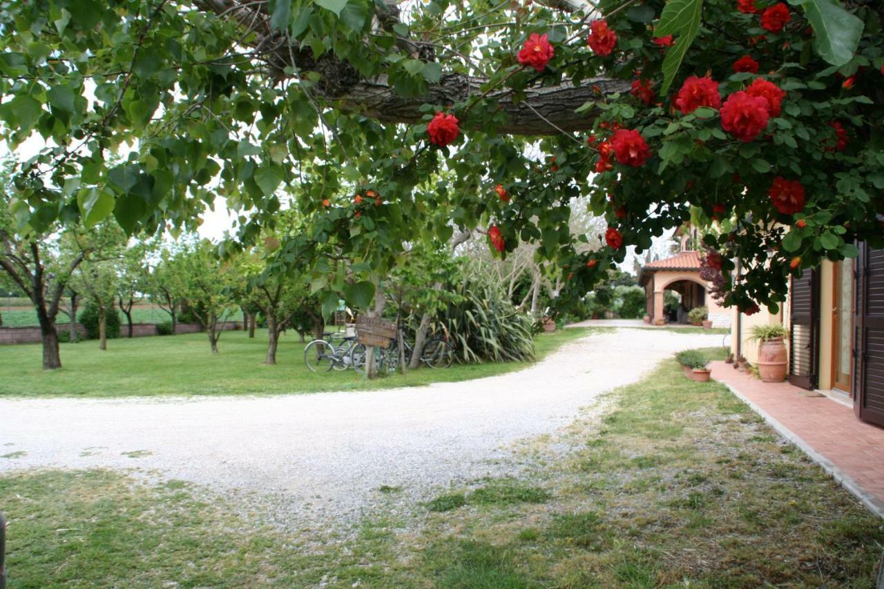 Agriturismo Diciocco Venturina Terme Exterior photo